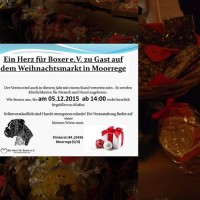 Weihnachtsmarkt Morrege 2015-1